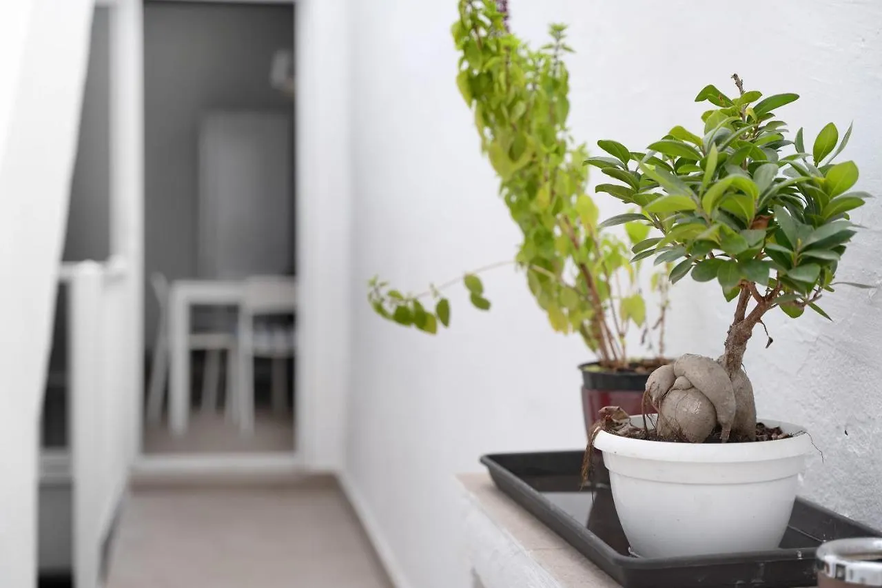 Apartamento Doris Guimar 0*,  Spain